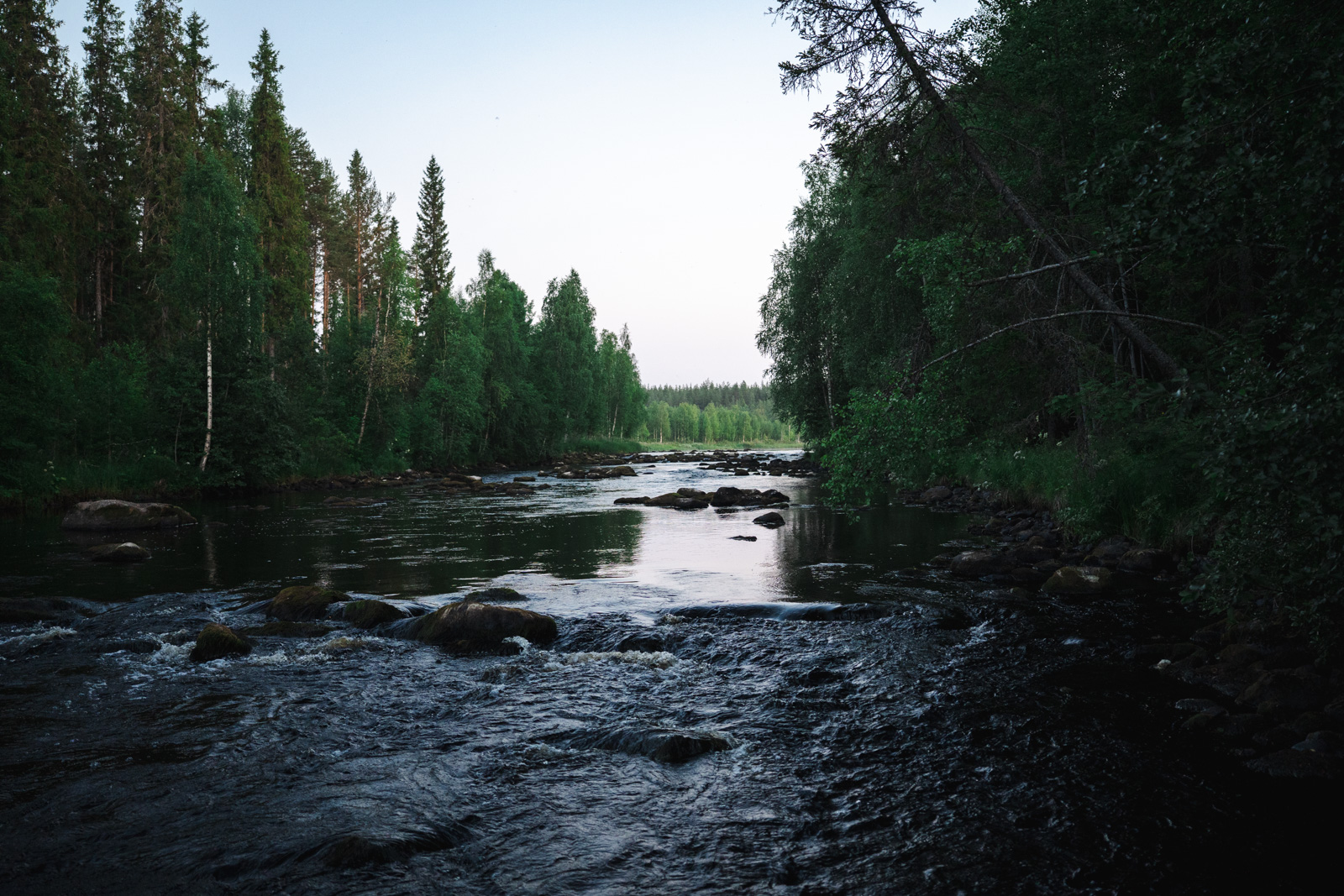 Ajatuksia oppimisesta