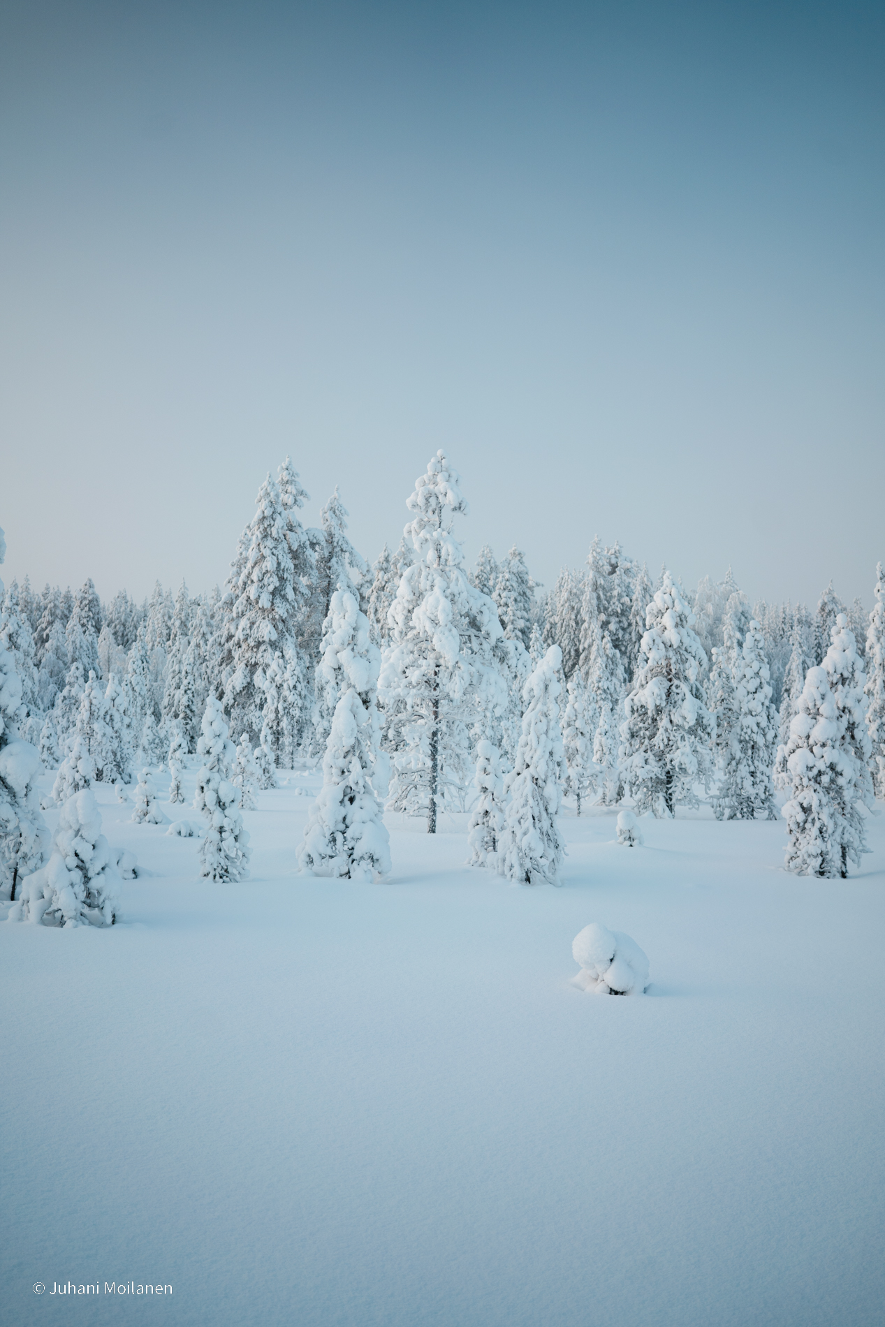 Hiihtoretki lähikairaan